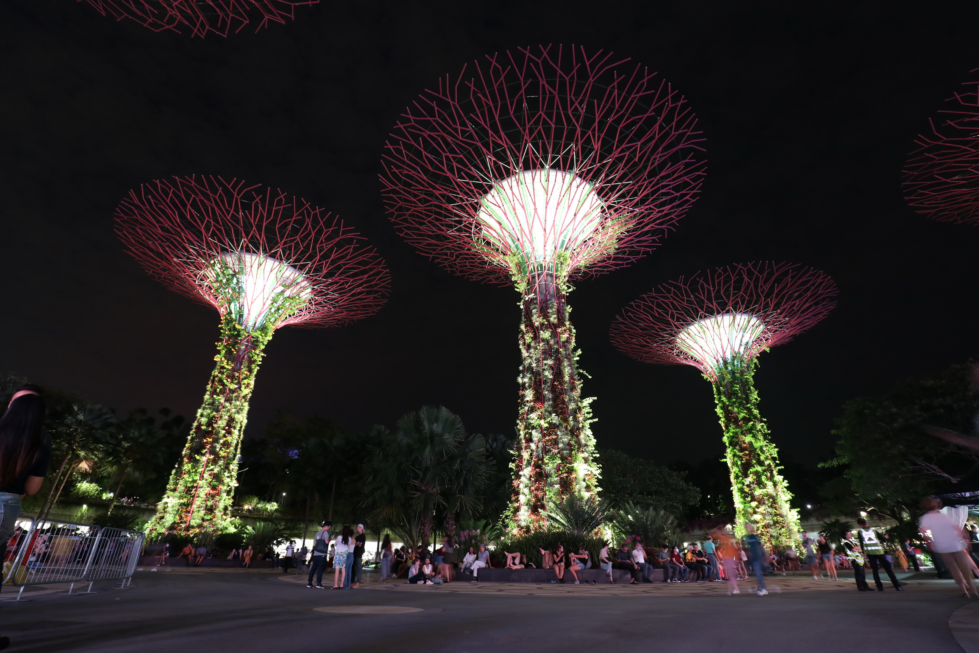Supertree Grove Lightshow @ Gardens by the Bay